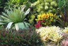 Capalabaplanting-garden-and-landscape-design-24.jpg; ?>