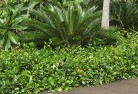 Capalabaplanting-garden-and-landscape-design-45.jpg; ?>